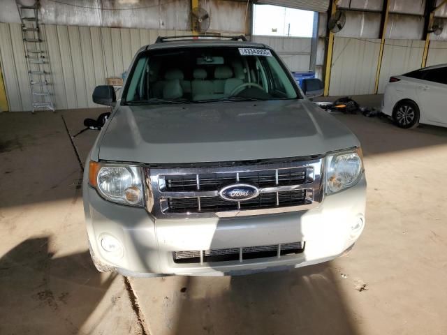 2008 Ford Escape XLT