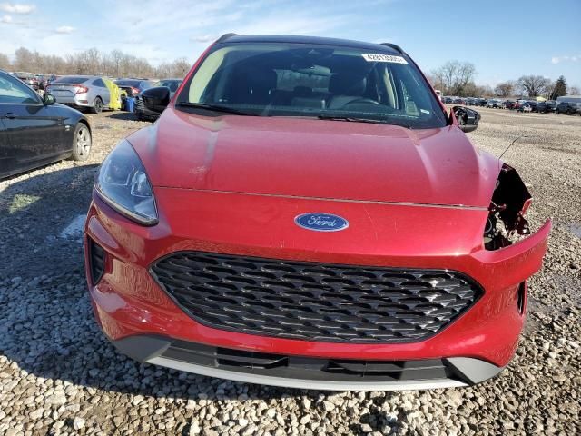 2020 Ford Escape SE Sport