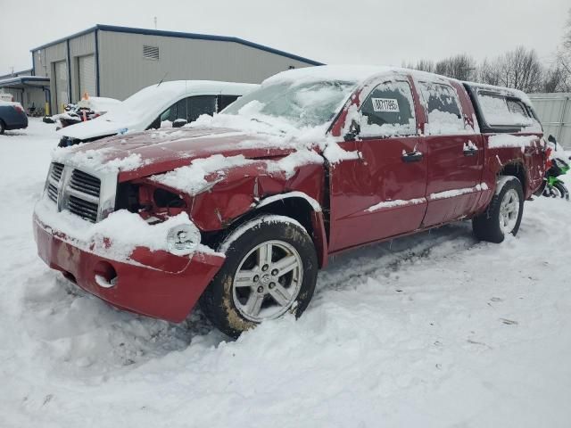 2007 Dodge Dakota Quattro