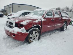 Salvage cars for sale at Wayland, MI auction: 2007 Dodge Dakota Quattro