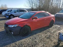 Salvage cars for sale at Arlington, WA auction: 2011 KIA Forte SX