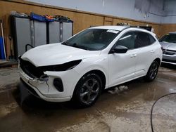 Ford Escape st salvage cars for sale: 2023 Ford Escape ST Line