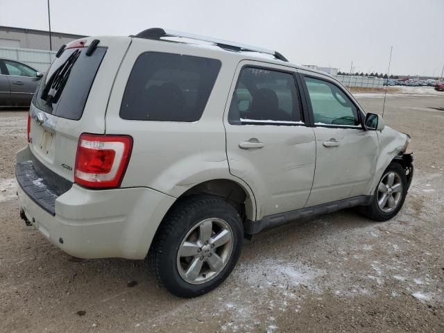 2009 Ford Escape Limited