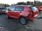 2014 KIA Sportage Base