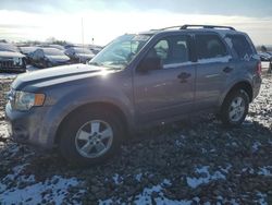 Ford Vehiculos salvage en venta: 2008 Ford Escape XLT