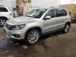 Salvage cars for sale at Ham Lake, MN auction: 2014 Volkswagen Tiguan S