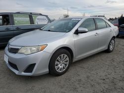 Salvage cars for sale at Eugene, OR auction: 2014 Toyota Camry L