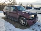 2007 Chevrolet Trailblazer LS