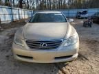 2009 Lexus LS 460