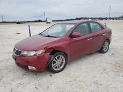 Salvage cars for sale from Copart New Braunfels, TX: 2011 KIA Forte EX