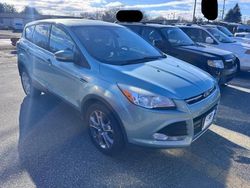 Ford salvage cars for sale: 2013 Ford Escape SEL