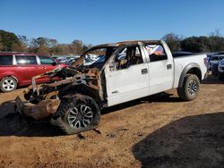 Salvage cars for sale at Theodore, AL auction: 2013 Ford F150 SVT Raptor