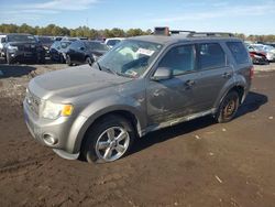 Salvage cars for sale at Brookhaven, NY auction: 2011 Ford Escape XLT