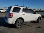 2008 Ford Escape XLT