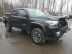 2023 Toyota Tacoma Double Cab