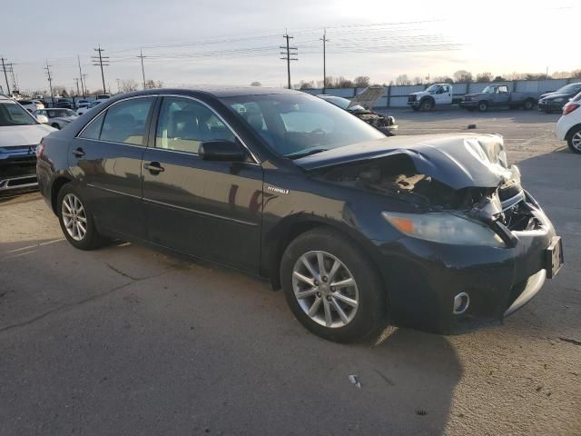 2010 Toyota Camry Hybrid