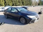 2016 Toyota Camry Hybrid