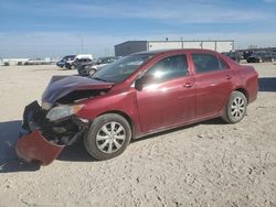 Salvage cars for sale from Copart Haslet, TX: 2010 Toyota Corolla Base