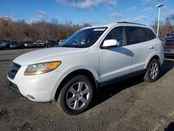 Hyundai Vehiculos salvage en venta: 2009 Hyundai Santa FE SE