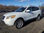 2009 Hyundai Santa FE SE