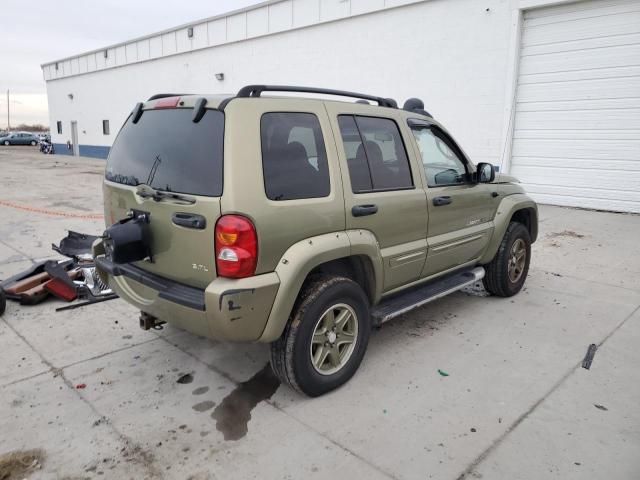 2002 Jeep Liberty Renegade