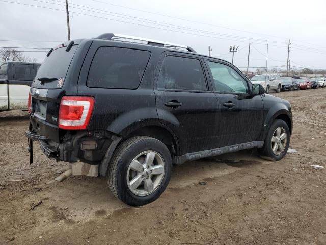 2010 Ford Escape Limited