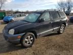 2005 Hyundai Santa FE GLS