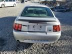 2000 Ford Mustang