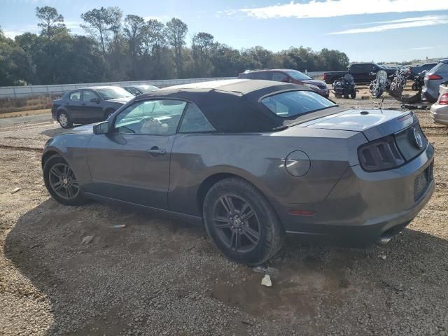 2013 Ford Mustang