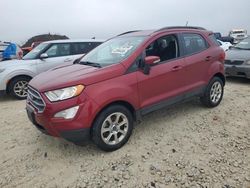 Salvage cars for sale at Taylor, TX auction: 2021 Ford Ecosport SE