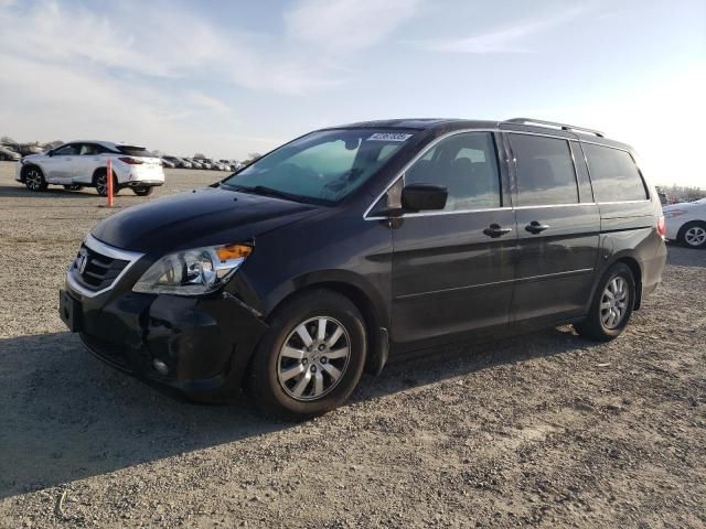 2010 Honda Odyssey EXL