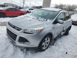 Ford Vehiculos salvage en venta: 2014 Ford Escape SE