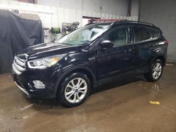 Salvage cars for sale at Elgin, IL auction: 2019 Ford Escape SEL