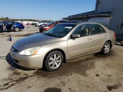 Salvage cars for sale from Copart Memphis, TN: 2005 Honda Accord EX