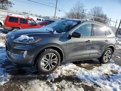 Ford Vehiculos salvage en venta: 2020 Ford Escape SEL