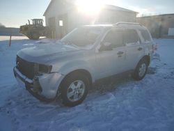 2012 Ford Escape XLT en venta en Barberton, OH