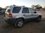 2005 Ford Escape XLT