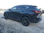 2024 Lexus NX 250 Premium