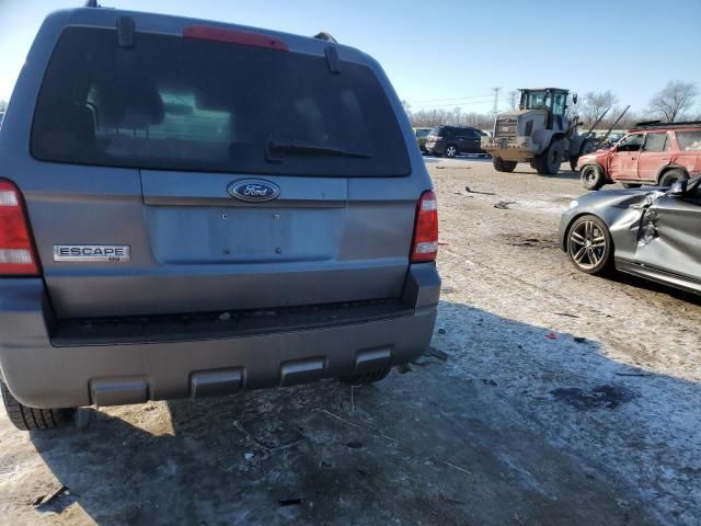 2009 Ford Escape XLT