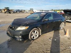 Toyota salvage cars for sale: 2011 Toyota Camry Base