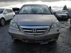 2007 Honda Odyssey EXL