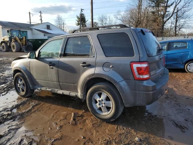 2011 Ford Escape XLT