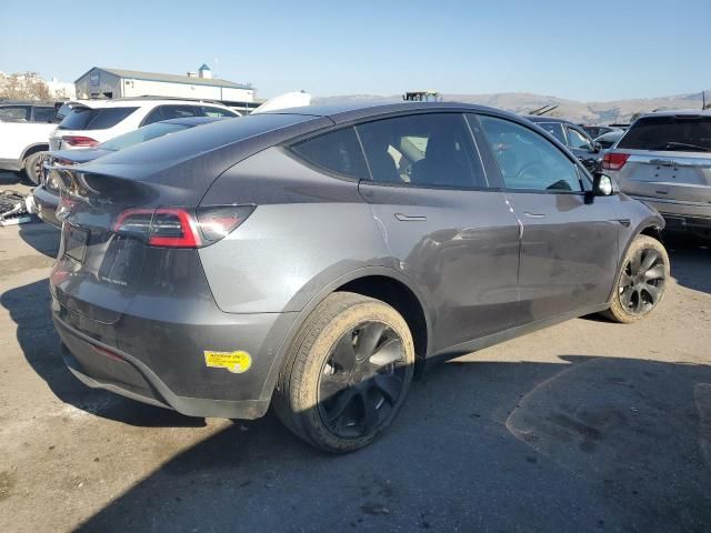 2020 Tesla Model Y