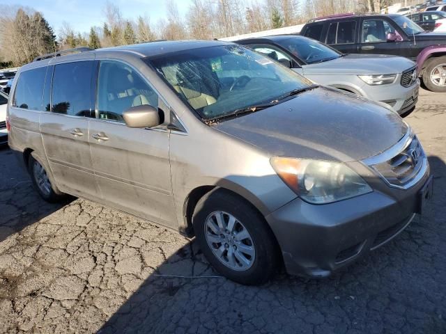 2009 Honda Odyssey EXL