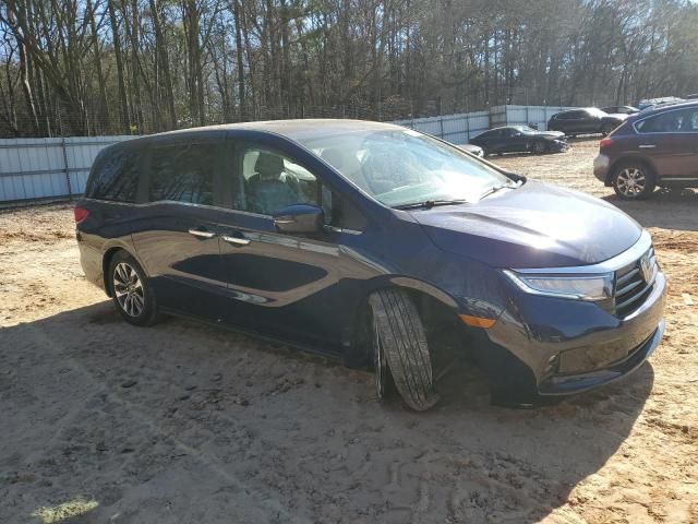 2024 Honda Odyssey EXL