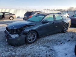 Honda Accord salvage cars for sale: 2024 Honda Accord EX