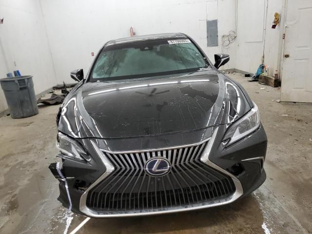 2019 Lexus ES 300H