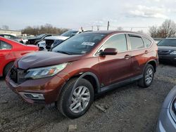 Salvage cars for sale at Hillsborough, NJ auction: 2015 Honda CR-V EX