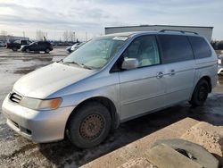 Honda Vehiculos salvage en venta: 2004 Honda Odyssey EX