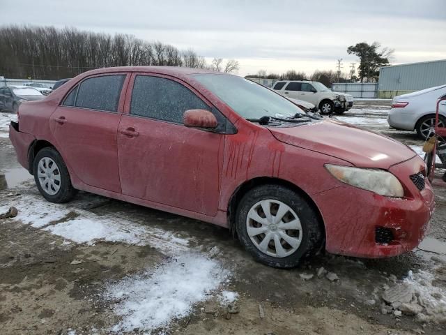 2009 Toyota Corolla Base